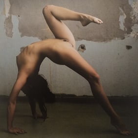 Daniel Fehr, Naked Dream Girls, 2024
