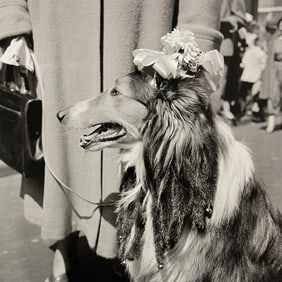 Vivian Maier, New York, April, 1955