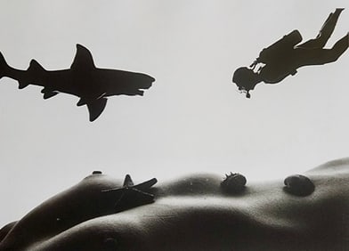 Allan Teger 'Bodyscapes' 2012
