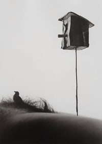 Allan Teger 'Bodyscapes' 2012