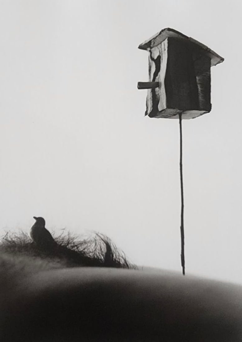 Allan Teger 'Bodyscapes' 2012 (1 of 1)