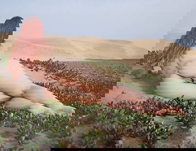 Stefan Soell 'Volcanic Girls' 2025: Artist/Photographer: Stefan Soell Title/Subject: Volcanic Girls Type Of Print: Authentic Sheet Fed Photogravure/Heliogravure. Date Of Print: 2025 Paper: Medium weight, satin/matte finish. Print Origin