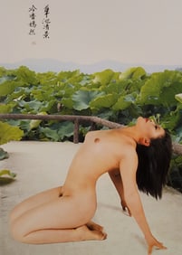 Body Shadow Nude Asian Female, 2004