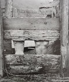 Edna Bullock, Female Nudes, 1995