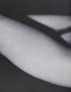 Alina Reyes, Nude Female Models, 2005: Artist/Photographer: Alina Reyes Title/Subject: Nudes Female Model Type Of Print: Authentic Sheet Fed Photogravure/Heliogravure. Date Of Print: 2005 Paper: Medium weight, satin/matte finish. Print Ori