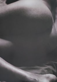 Alina Reyes, Nude Female Models, 2005