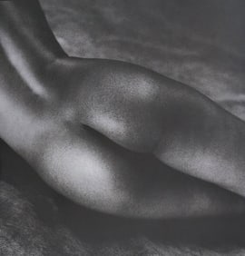 Alina Reyes, Nude Female Models, 2005