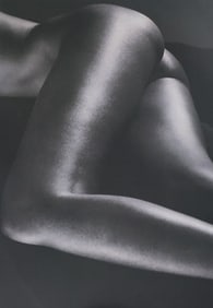 Alina Reyes, Nude Female Models, 2005