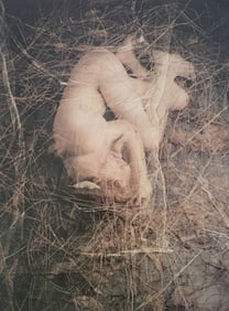 Best Female Nude Photography, 1850 - 2001