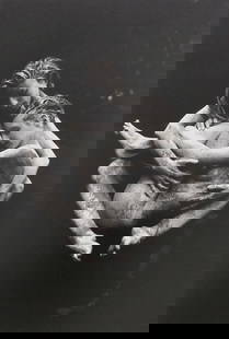Best Female Nude Photography, 1850 - 2001: Artist/Photographer: Various photogrpher, include: Araki, Exe Arnold, Peter Beard, Bill Brandt, Brassai, Lucien Clergue, Horst P. Horst..... Title/Subject: Best female nudes photography 1850 to 2001 T