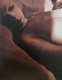 Dian Hanson, Sepia Nudes, 2016
