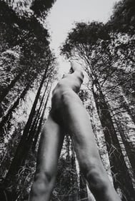Lucien Clergue, 'Parc National de Yosemite, Californie, 1974