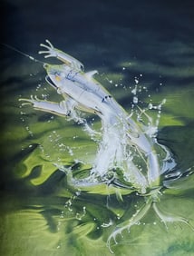 Hajime Sorayama, Untitled Photogravure 2010