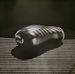 Robert Mapplethorpe, Eggplant, 1985