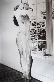 Nobuyoshi Araki, Obscenities 1991