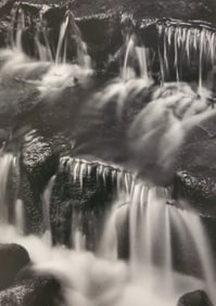 Ansel Adams, Fern Spring, Dusk, Yosemite National Park, California, C. 1961