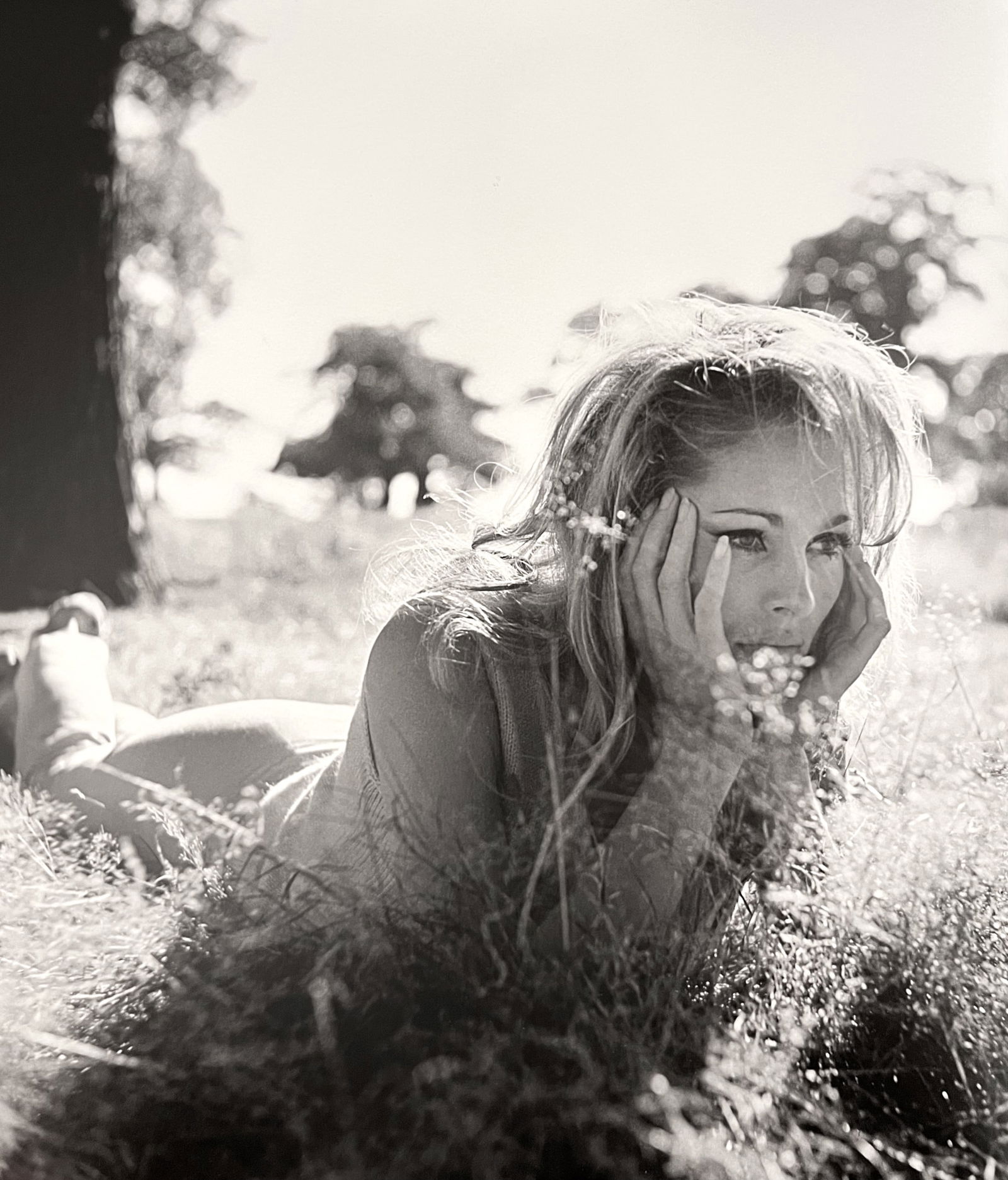 Terry O'Neill, Ursula Andress Gets Down To Earth In Richmond Park, 1965 (1 of 1)