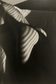 Pascal Baetens Beautiful Models