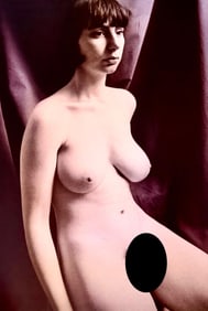 Vintage Nudes, 1999
