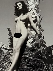 Playboys Top Models, 2015