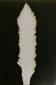 Hiroshi Sugimoto, In Praise of shadows, 980820
