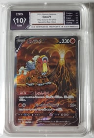 Entei V 2022 Vstar Universe Special Art Rare Pokemon Card Gem 10