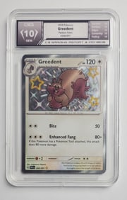 Greedent 2024 Paldean Fates Pokemon Card Gem Mint 10