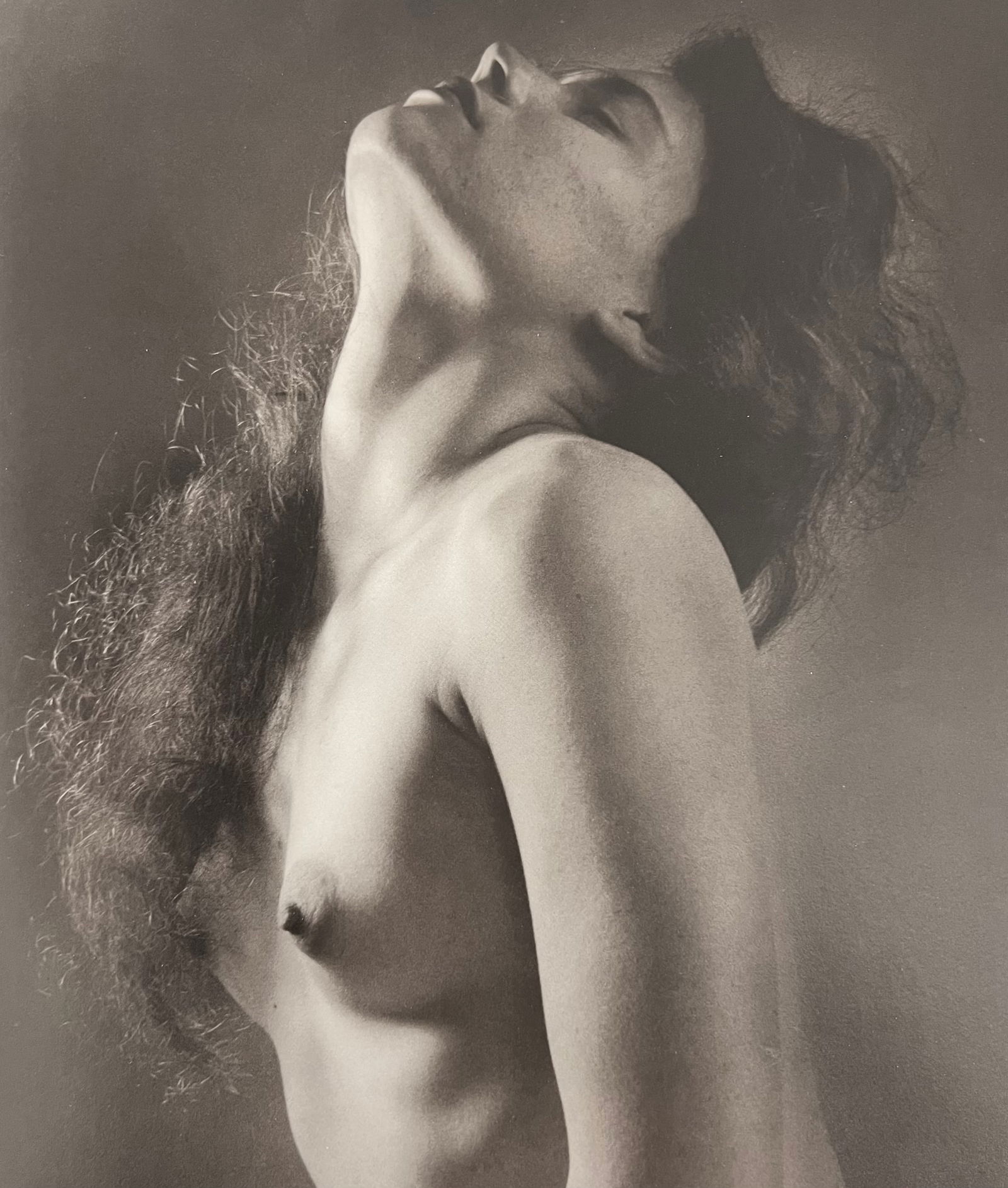 Ruth Bernhard, Neck Study, 1958 (1 of 1)