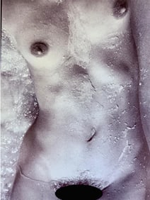 Peter Lacey, Vintage Nude,1985