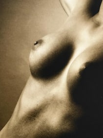 Tom Jacobi 'Elegant nude', 2008