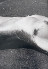 Playboys Top Models, 2015