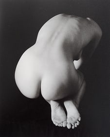 Elegant Nudes and Models, 1995