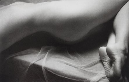 Elegant Nudes and Models, 1995