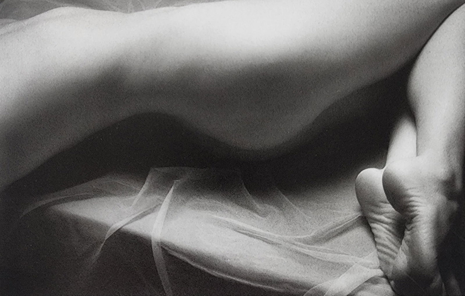 Elegant Nudes and Models, 1995: Artist/Photographer: Various Photographers Title/Subject: Elegant Nudes and Models, 1995 Type Of Print: Authentic Sheet Fed Photogravure/Heliogravure. Date Of Print: 1995 Paper: Medium weight, satin/m