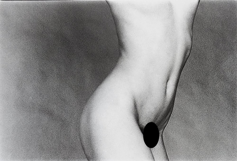 Elegant Nudes and Models, 1995: Artist/Photographer: Various Photographers Title/Subject: Elegant Nudes and Models, 1995 Type Of Print: Authentic Sheet Fed Photogravure/Heliogravure. Date Of Print: 1995 Paper: Medium weight, satin/m