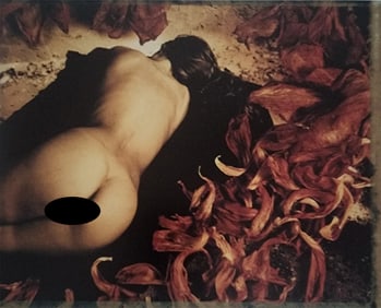 Thomas Karsten, Pleasure in itself, 1995