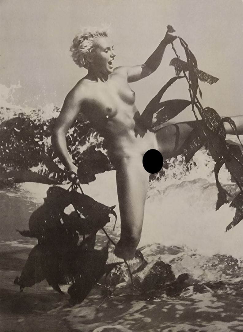 Andre De Dienes, Sun Warmed Nudes, 1965 (1 of 1)