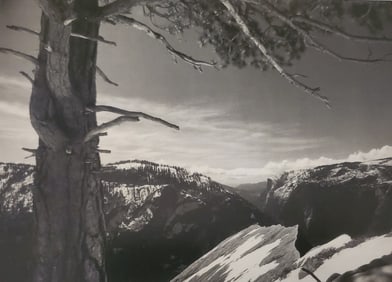Ansel Adams, On the Heights, Yosemite National Park, California, 1927