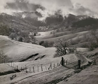 Ansel Adams, Pasture, Sonoma County, Northern California, 1951