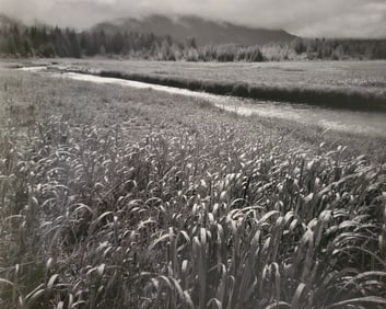 Ansel Adams, Rain, Beartrack Cove, Glacier Bay National Park, Alaska, 1949