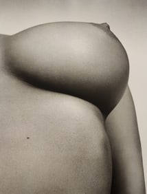 Rankin, Celebrities Exposed, 2009