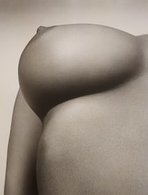 Rankin, Celebrities Exposed, 2009