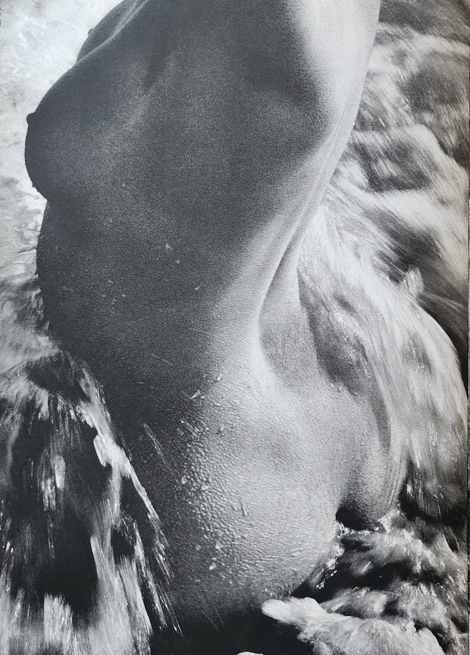 Lucien Clergue, 'The Beginning' 1973: Photographer: Lucien Clergue (France, 1934 - 2014) - renowned French photographer with a diverse body of work, he is perhaps best known for his dynamic female nude studies in and around water which of
