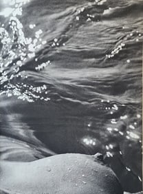Lucien Clergue, 'The Beginning' 1973