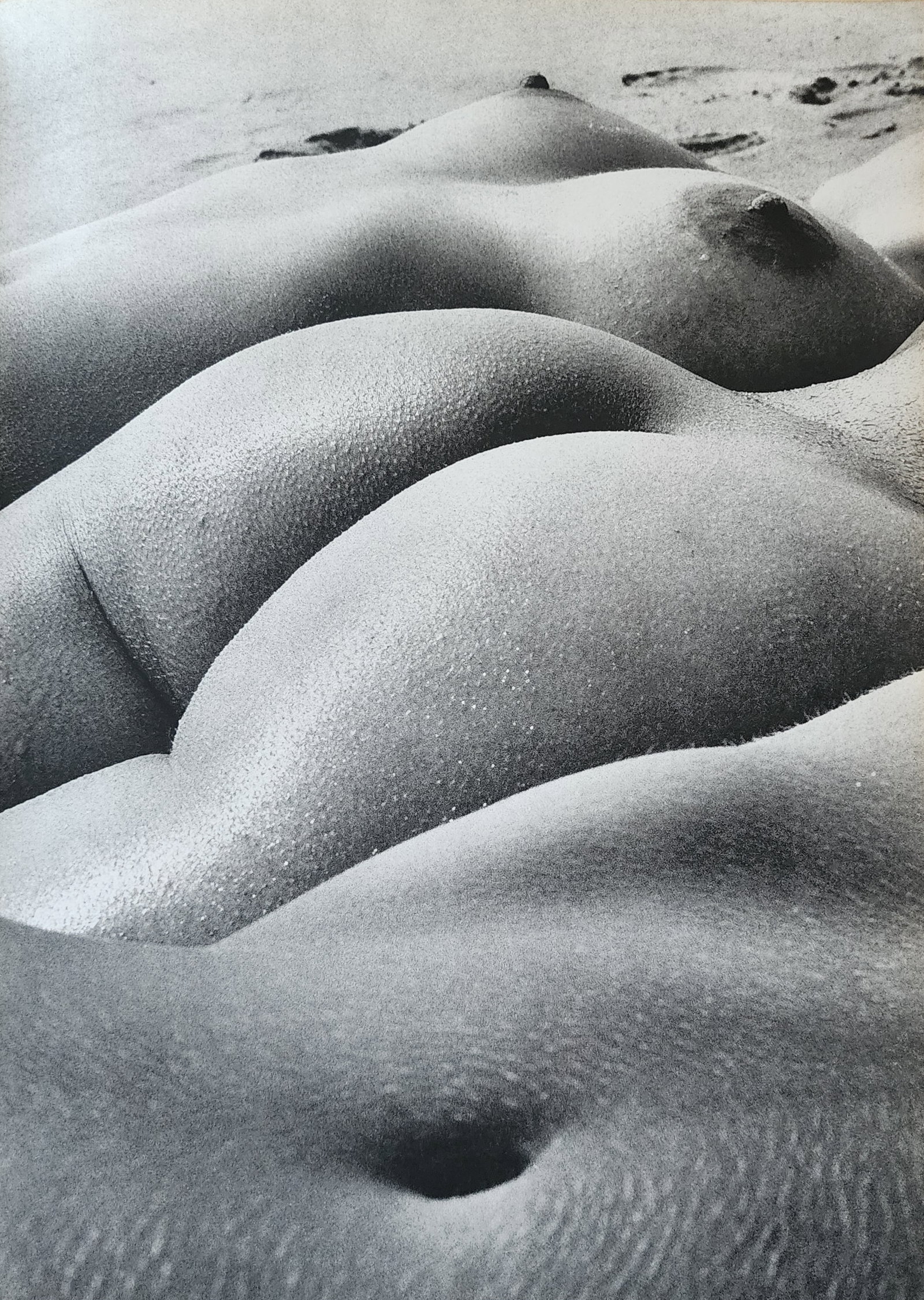 Lucien Clergue, 'The Beginning' 1973: Photographer: Lucien Clergue (France, 1934 - 2014) - renowned French photographer with a diverse body of work, he is perhaps best known for his dynamic female nude studies in and around water which of