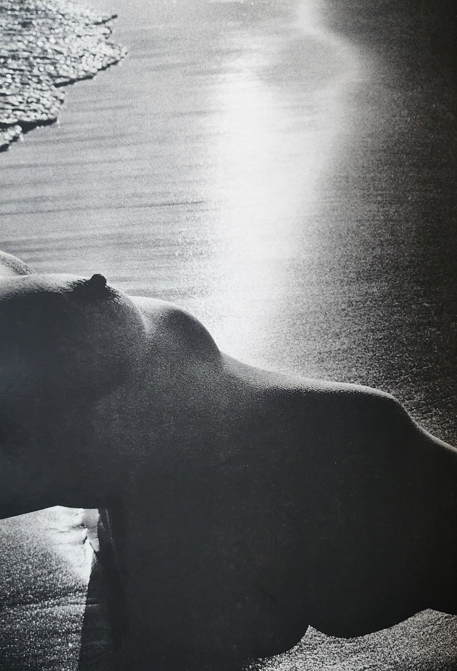 Lucien Clergue, 'The Beginning' 1973: Photographer: Lucien Clergue (France, 1934 - 2014) - renowned French photographer with a diverse body of work, he is perhaps best known for his dynamic female nude studies in and around water which of