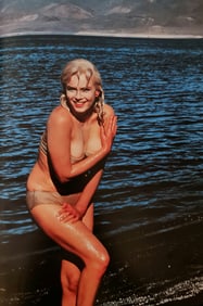 Marilyn Monroe, In a bikini in Nevada, 1960's