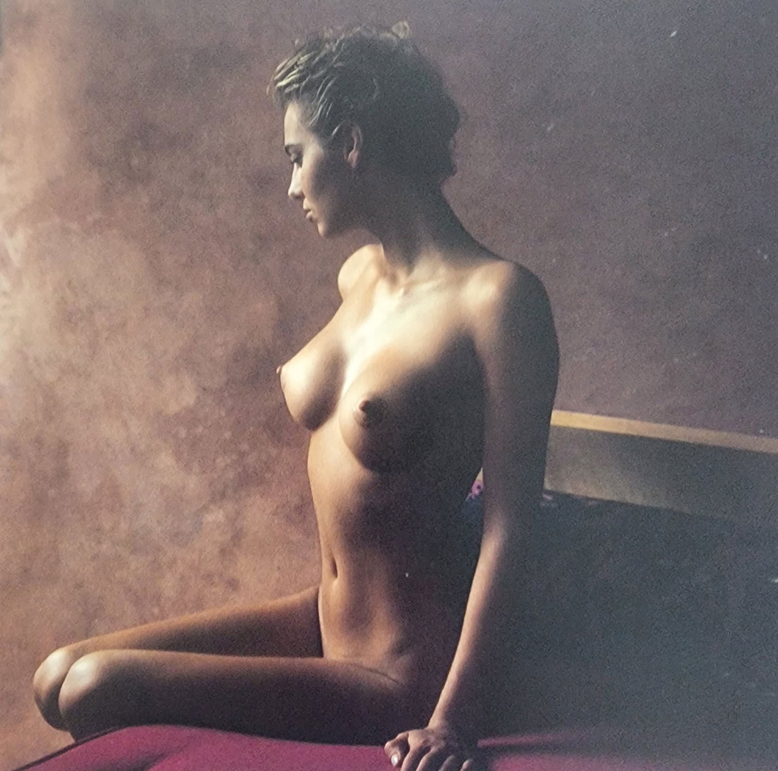 Elegant Nudes and Models, 1995 (1 of 1)