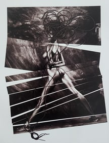 Elegant Nudes and Models, 1995