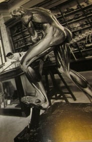 JEANLOUP SIEFF, Beautiful Women in Lingerie